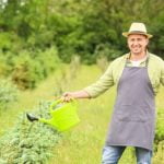 Pallet Ideas for Gardening Recycle, Upcycle, and Transform Your Outdoor Space