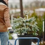 Creative Ways to Grow Plants in Small Spaces