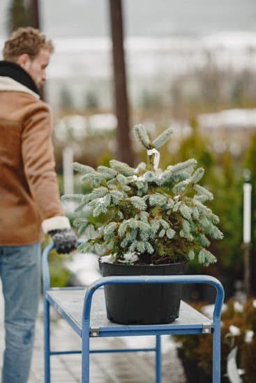 101 Container Gardening Ideas 5 Creative Ways to Grow Plants in Small Spaces