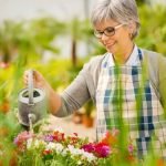 Creative layout and space-saving tricks for vegetable garden design ideas in small gardens