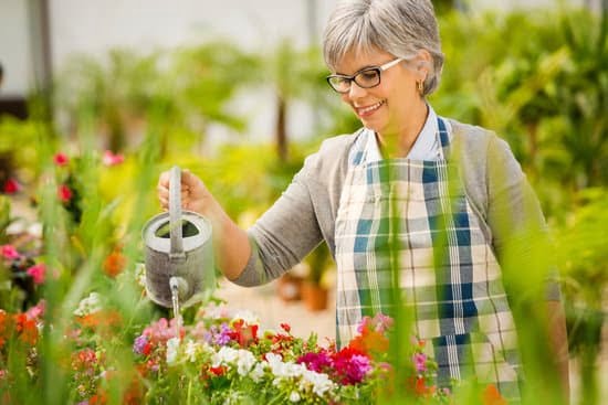 Vegetable Garden Design Ideas Small Gardens 5 Creative layout and space-saving tricks for vegetable garden design ideas in small gardens