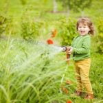 Vegetables for Gardens Ideas Fresh Vegetable Garden Inspiration - Vegetables for Gardens Ideas