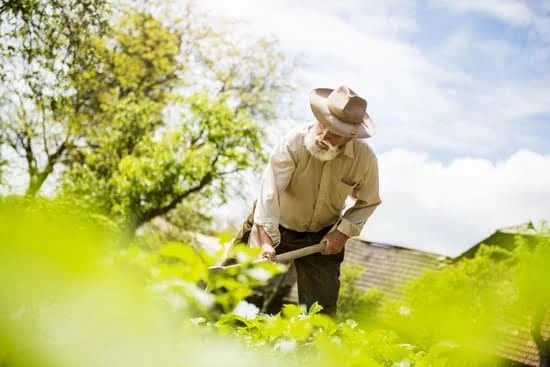 4-H Gardening Project Ideas 3 Cultivating creativity with youth-friendly, sustainable practices.