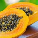 Lush Rock Garden Landscape Design