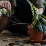 Modern Gardens Ideas Get inspired by these modern gardens ideas for your outdoor space #ModernGardensIdeas