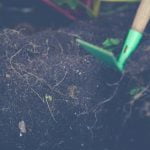 Shabby Chic Gardens Landscaping Ideas Charming shabby chic garden landscaping ideas with antique decor and rustic elegance