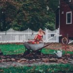 Creative container vegetable garden ideas for small spaces and urban living