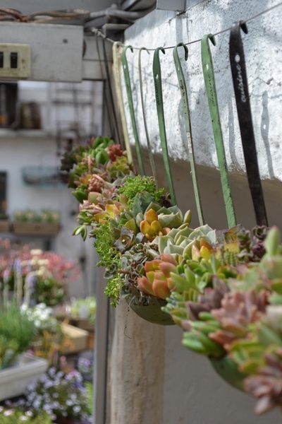 Gravel Ideas for Small Front Gardens 3 Transform Your Outdoor Space
