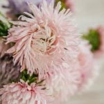 Stylish drink recipes and entertaining tips for your next event