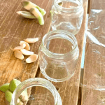 Ideas for tiny front gardens