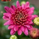 Stylish and affordable ways to enhance your bathroom space