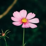 Vintage cookbook cover BETTER HOMES AND GARDENS 100S OF BAKING IDEAS 1977 with colorful desserts