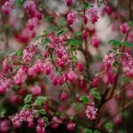 Images of Gardening Ideas Beautiful and creative gardening ideas images for inspiration and design