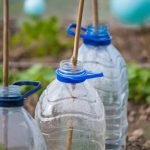 Balinese Gardens Design Ideas Inspiring Ideas