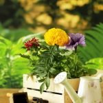 Gardening Edging Ideas Enhance your garden with these unique and innovative edging designs