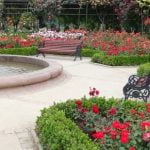 Mens Gardening Gift Ideas for green thumbs and beyond