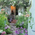 Terrace Gardening Ideas in Tamil Explore creative terrace gardening ideas in Tamil for small spaces and urban living