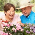 Apartment Gardener Ideas Gift Unique apartment gardener gift ideas for green thumbs