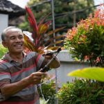 Gardening Shed Ideas Explore creative gardening shed ideas for your backyard oasis