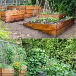 Father'S Day Gardening Ideas Create a Special Outdoor Space for Dad's Green Thumb Celebration