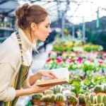 Creative and functional ways to beautify your home and garden