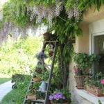 Ideas and Inspiration