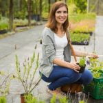 Gardening Tips and Ideas A guide to creating a thriving and beautiful garden