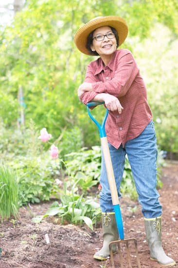 Creative water bottle gardening ideas for small spaces and sustainability
