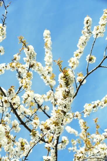 Ideas for Small Gardens on a Budget Uk 9 Creative and Affordable Garden Ideas for Small Spaces in the UK on a Budget