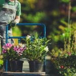 Easy Gardening Ideas for Front Yard Elevate your front yard with these easy gardening ideas for front yard - transform your space today