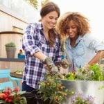 Ideas for Shade Gardens Ideas for Shade Gardens
