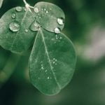 Better Homes and Gardens Pergola Ideas Transform your outdoor space with these inspiring pergola design concepts