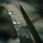 Stunning rock gardens photos to inspire your landscaping ideas. #RockGardensIdeasPhotos