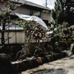 creative landscaping, rock garden inspiration, outdoor gardening with stones