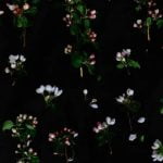 Florida Gardening Ideas Explore creative Florida gardening ideas for your outdoor space in a subtropical climate