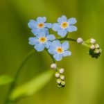 Festive DIY pumpkin crafts and creative fall decor inspiration