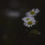 Better Home and Gardens Patio Ideas Transform your outdoor space with Better Home and Gardens' patio ideas for a stylish, functional oasis