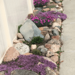 Ideas on Rock Gardens Beautiful and unique ideas on rock gardens to transform your outdoor space