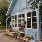 501 Decorating Ideas Under $100 Better Homes and Gardens Home 501 Ideas from Better Homes and Gardens Under $100