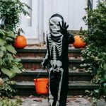 Transform your space with these INDOOR GARDENING IDEAS AT HOME for a flourishing oasis in any room