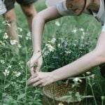 Landscaping Tropical Gardens Ideas Lush tropical garden landscaping ideas featuring vibrant flora, serene water features, and lush greenery