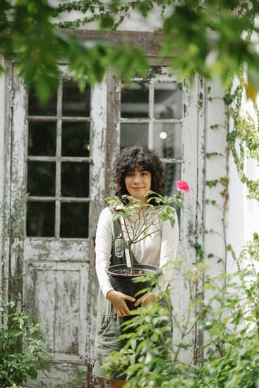 Urban Gardening Ideas for Urban Environments 7 Urban Gardening Ideas for Urban Environments