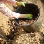 Better Home and Gardens Fall Decorating Ideas Transform your home with Better Home and Gardens Fall Decorating Ideas for a cozy, inviting space