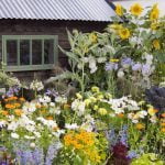 seeds, tools, and more for the perfect garden gift