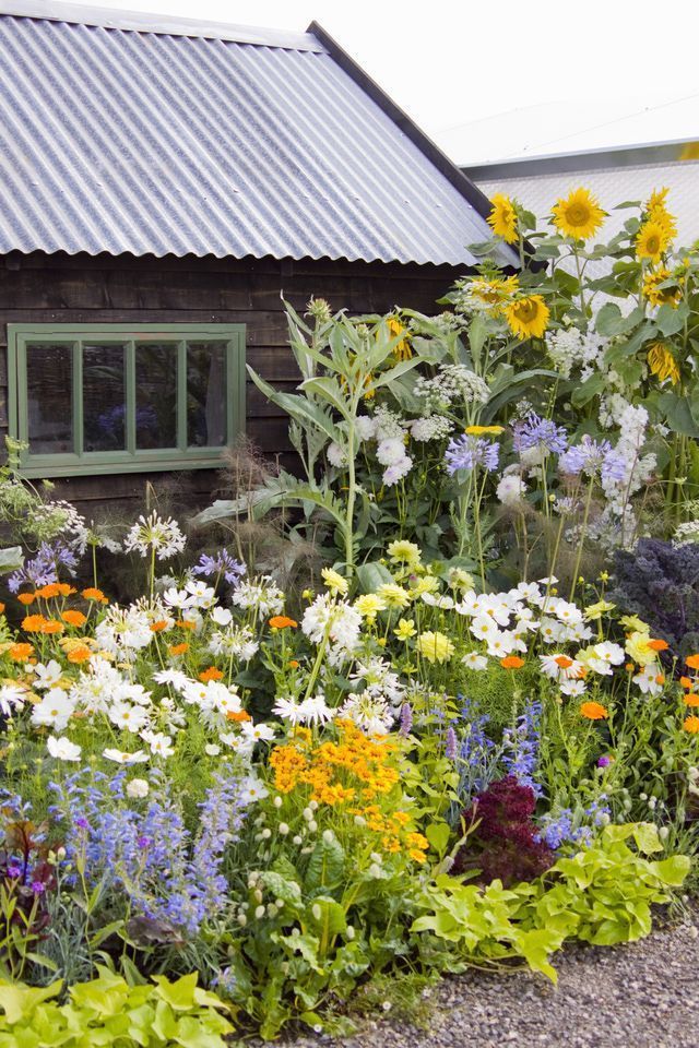 Gift Ideas Gardening 5 seeds, tools, and more for the perfect garden gift