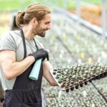 Gardening Ideas for Apartments Small space container gardening and balcony planters for apartment dwellers