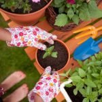 Unique gardening tools, planters, and seeds for gardening enthusiasts