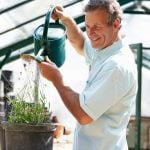 Creative and Functional Backyard Gardening Design Ideas - Transform Your Outdoor Space