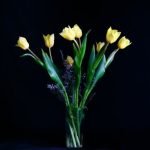 20 Fun and Creative Container Gardening Ideas 20 fun and creative container gardening ideas