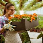 Vertical Gardening Ideas Wall vertical gardening ideas wall